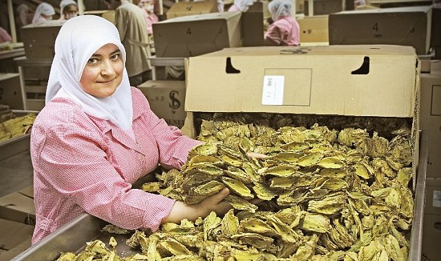Yİ-ÜFE yıllık değişimde tütün ürünleri artışta