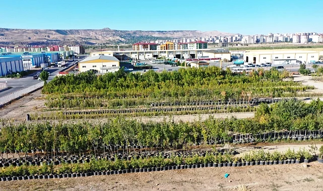 Başkan Çolakbayrakdar, "Yeşil ve daha yeşil bir Kayseri için çalışıyoruz"
