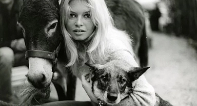Brigitte Bardot'tan Erdoğan'a Mektup