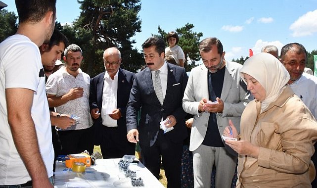 Bursa İznik'te 'maviyemiş' ilgisi