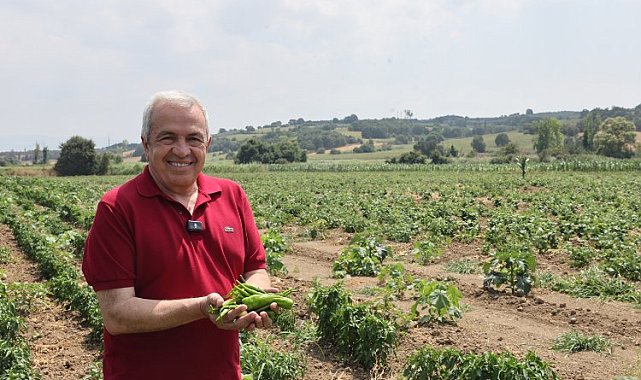 Bursa'da Nilüfer tarımsal üretimde