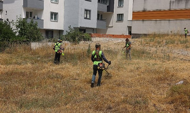 Çayırova'da yabani otlar temizleniyor
