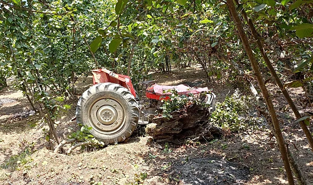 Düzce'de traktörün altında kaldı