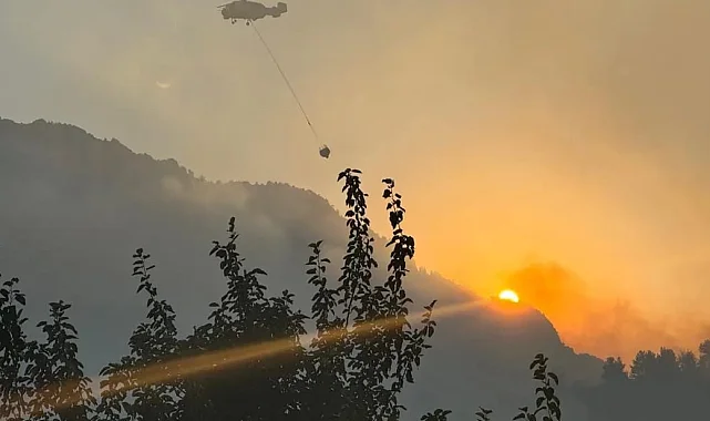 Kahramanmaraş'ta korkutan orman yangını kontrol altında