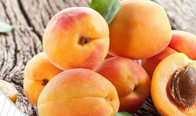 Tescilli kayısılar 12 Temmuz'da yarışacak