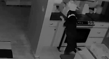 Yavru Köpeğin Merakı Yangına Yol Açtı: Facianın Eşiğinden Dönüldü!