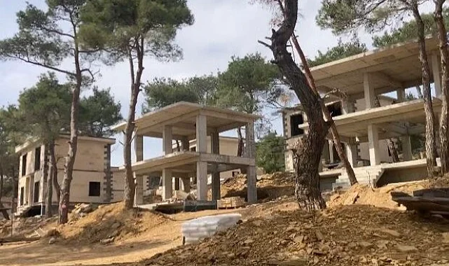 Adilhan'daki ormanı Keşan Orman İşletme Müdürlüğü mü kesti?