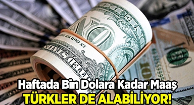 Amerika'da işsizlik maaşı: Türkler de Alabiliyor! Haftalık Bin Dolara Kadar...