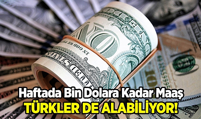 Amerika'da işsizlik maaşı: Türkler de Alabiliyor! Haftalık Bin Dolara Kadar...