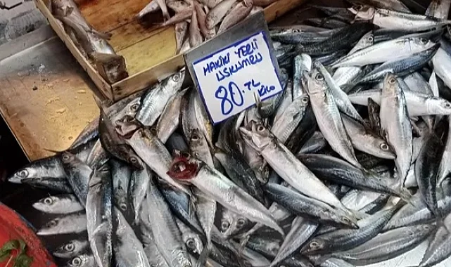 Bursa Tuz Pazarı'nda balık sezonu yoğunluğu başladı