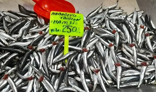 Bursa'da balık fiyatları düşmüyor