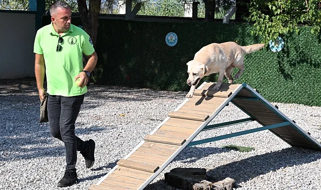 'Tanyel' çocukların can yoldaşı oldu