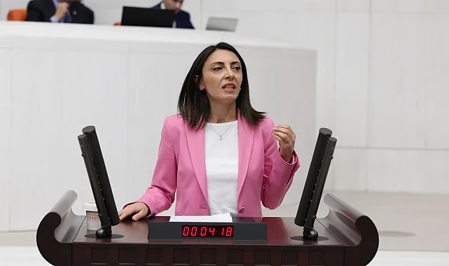 Bursa Kayapa'da yaşanan koku sorunu TBMM'ye taşındı