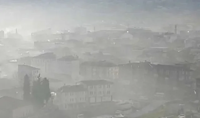 Bursa'da çevre kirliliği
