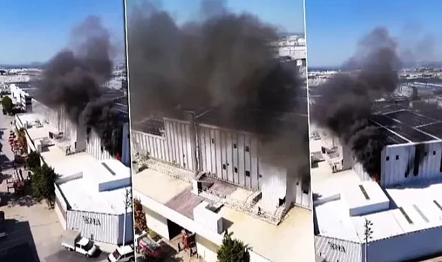 Bursa'da yangın! 20 araçla müdahale edildi
