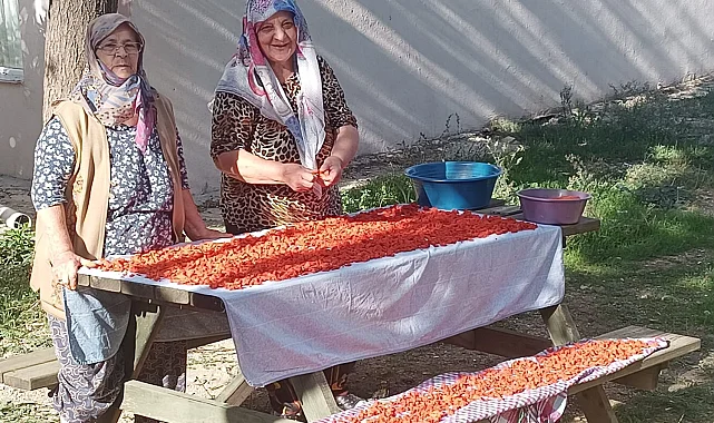 Kışın en ilgi gören tarhana çorbası için hazırlıklar başladı