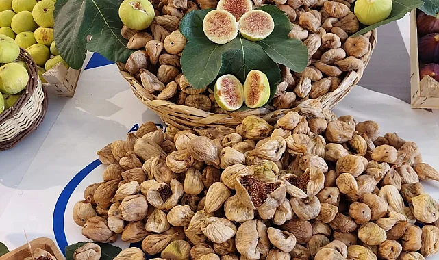 Kuru incir ihracatında yüzde 12'lik artış