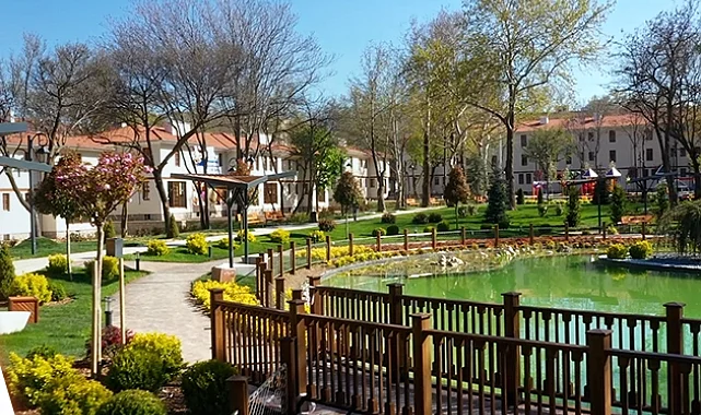 Ankara Kızılay'da 210 anıt ağaç koruma altında... Tarihi doku korunarak yenilendi