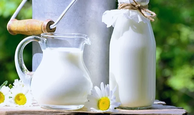 Çiğ süt primi litre başına 1 TL olacak
