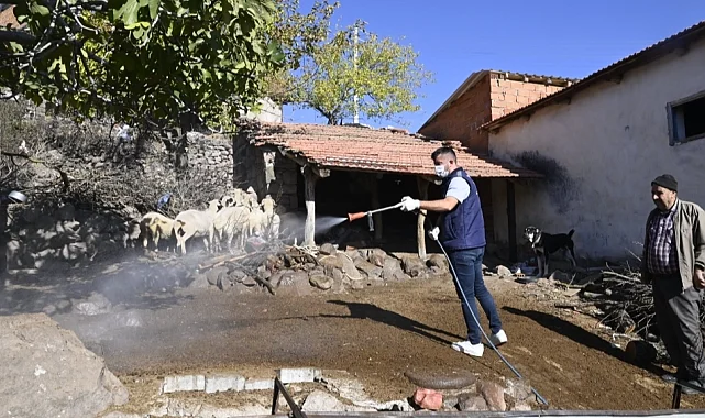 Manisa'da mavi dil hastalığıyla mücadele kapsamında 111 mahalle ilaçlandı