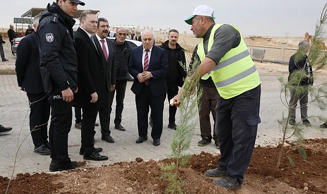 Mardin Yeşilli 2.ci OSB'de binlerce ağaç toprakla buluştu