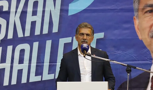 Gemlik Belediyesi'nden 'köpek ölümü' açıklaması