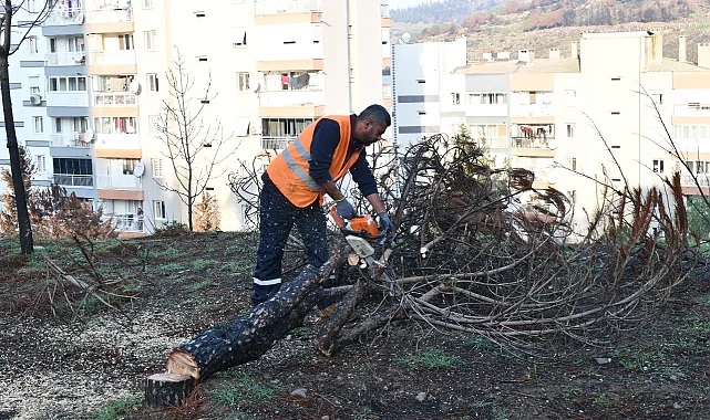 İzmir Çiğli yangın izlerini siliyor!