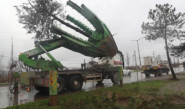 Sakarya Büyükşehir'den 'yeşil' hassasiyet