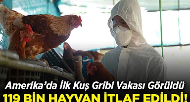 ABD'de İlk H5N9 Kuş Gribi Vakası: 119 bin hayvan itlaf edildi!