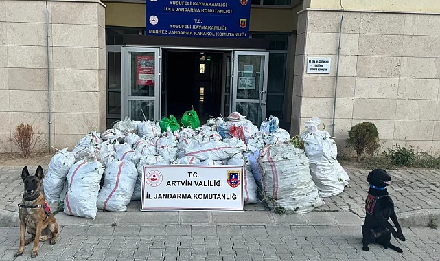 Artvin Jandarması 2024'te olayların yüzde 98'ini aydınlattı