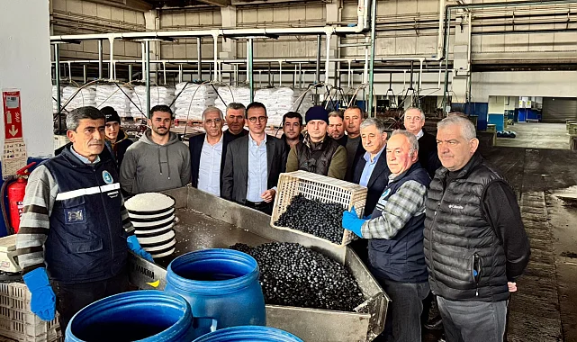 Bursa İznik'te Kaymakam Karaman'dan Zeytin Kooperatifi'ne ziyaret