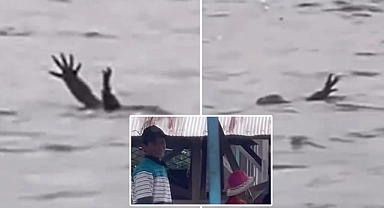 Video viral oldu: Endonezya'da tuzlu su timsahlarının 'boğulma taklidi' iddiası