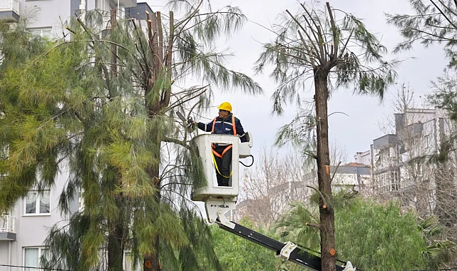 İzmir Bornova'da kışa hazırlık başladı