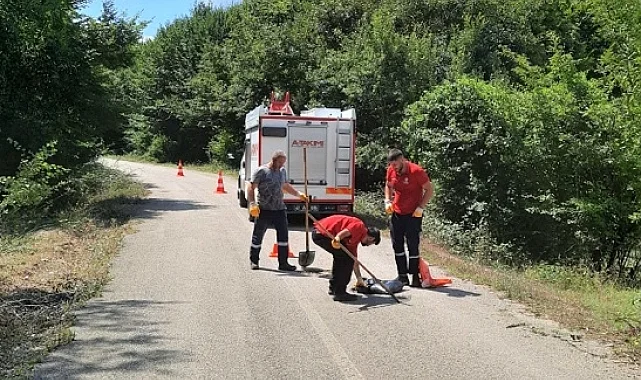 Kocaeli'nin A Takımı, yıl boyunca "Hızır" gibi yetişti