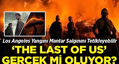 Los Angeles Yangını Mantar Salgınını Tetikleyebilir: 'The Last Of Us' Gerçek Mi Oluyor?