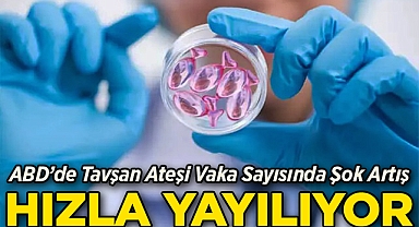 Tavşan Ateşi Vaka Sayısında Şok Artış: ABD'de Hızla Yayılıyor!