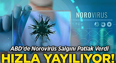 ABD'de Norovirüs Salgını Patlak Verdi: Hızla Yayılıyor!