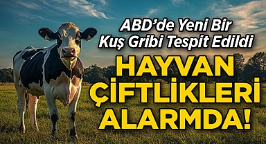ABD'de Yeni Bir Kuş Gribi Tespit Edildi: Hayvancılık Sektöründe Alarm!