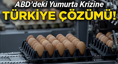 ABD'deki Yumurta Krizine Türkiye Çözümü!