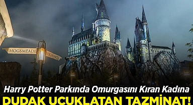 Harry Potter Parkında Omurgasını Kıran Kadına Dudak Uçuklatan Tazminat!