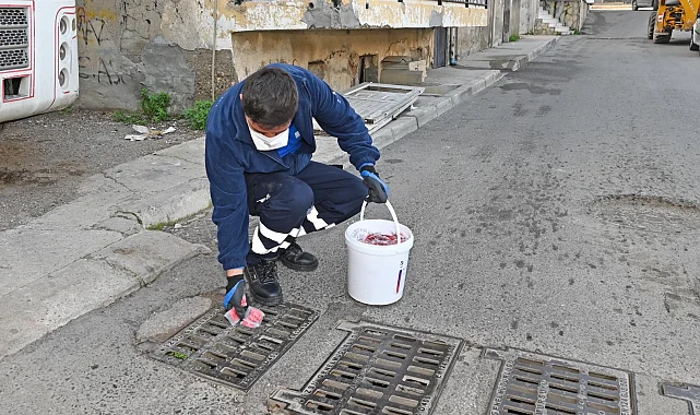 İzmir Karabağlar'da erken dönem sinek mücadelesi başladı