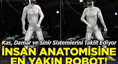 Kas, Damar ve Sinir Sistemlerini Taklit Ediyor: İnsana En Yakın Robot Tanıtıldı!