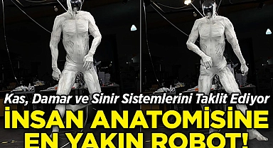 Kas, Damar ve Sinir Sistemlerini Taklit Ediyor: İnsana En Yakın Robot Tanıtıldı!