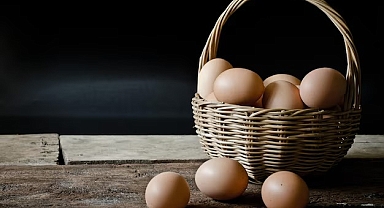 Kuş Gribi Yumurta Fiyatlarını Uçurdu Binlerce Yumurta Çalındı