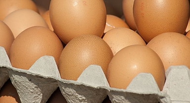 Kuş gribi yumurtayı vurdu: ABD'de marketler yumurta satışına kota koydu