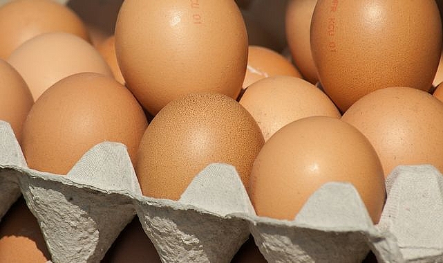 Kuş gribi yumurtayı vurdu: ABD'de marketler yumurta satışına kota koydu