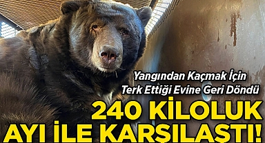  Yangından Kaçmak İçin Terk Ettiği Evine Geri Döndü: 240 Kiloluk Ayı İle Karşılaştı!