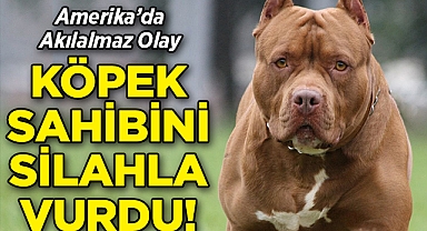 ABD'de Akılalmaz Olay: Köpek, Sahibini Silahla Vurdu!