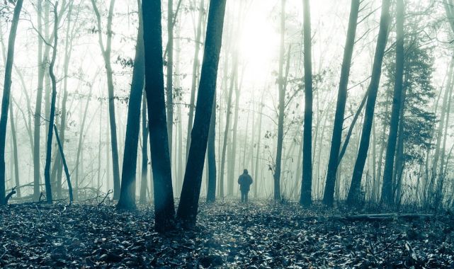 America's Bermuda Triangle: Bigfoot, UFOs and color you can never wear