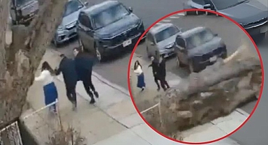 Brooklyn’de korkutan anlar: Yolda yürüyen aile, ağacın altında kalmaktan son anda kurtuldu